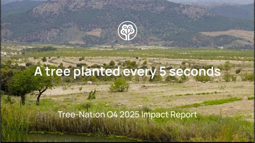 Tree-Nation Q4 2025 Impact Report - 14 Countries, 5 Continents | Tree-Nation