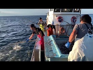 Amazing Fishing Japanese Technique From Japan