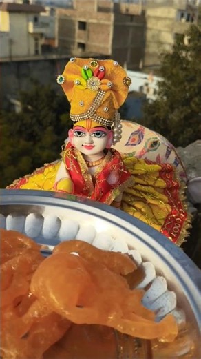 Laddu Gopal #laddugopal #ytshorts #kanhaji #krishnastatus #shortsfeed #shorts