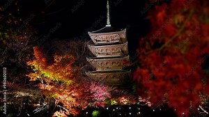 Kyoto's autumn foliage spots: Toji temple five-storied pagoda autumn leaves night illumination Stock Video