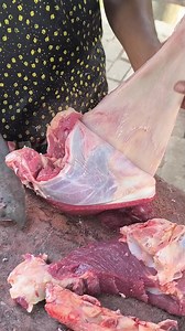 1.4K views · 427 reactions | "Perfectly Cut Beef Pata! Watch the Art of Meat Cutting" #BeefPata #MeatCutting #ButcherySkills #SatisfyingCuts #BeefLovers #CookingInspiration #FoodPrep #ButchersLife #MeatPreparation #KitchenSkills #ChefLife #Foodie #KnifeSkills #BeefCutting #CookingTips | Gazi Sabbir Sharia | Facebook