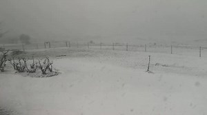 Snowing heavily in the Koue Bokkeveld. Thanks to ‎Ylode Burger‎ . | Snow Report SA
