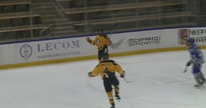 Griffins hot start dooms Air Force hockey