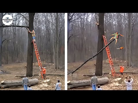 Idiots With Chainsaws: Tree Cutting Fails | Extreme Dangerous Logging Truck Fails #11