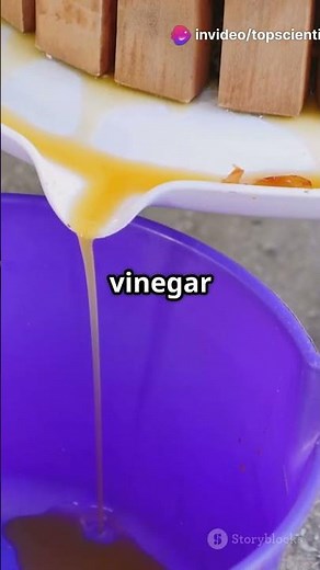 Lactic Acid Bacteria in Vinegar Fermentation #sciencefather #researchawards #lactic #acid