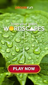 The average person has about 10,000 words in their vocabulary, and you're considered a genius when you know 80,000 words. | Wordscapes