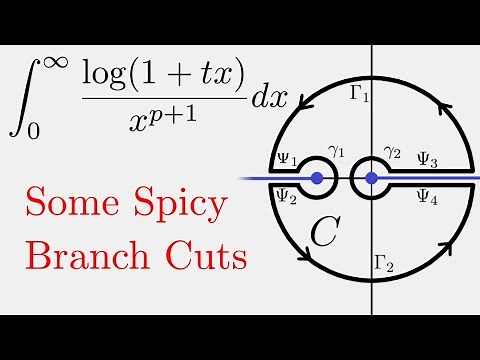 Complex Analysis: Logarithms and Branch Cuts