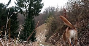 Vidéo de Martina Tomšič sur Pexels