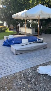 Grateful for molly dog Blueberry Muffin. She makes me laugh everyday 🐶🤗 | Rosanna Pansino