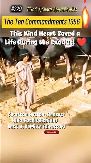 The Exodus Begins 🎬 #TheTenCommandments #Exodus #Moses #CharltonHeston #MovieClips #ClassicCinema