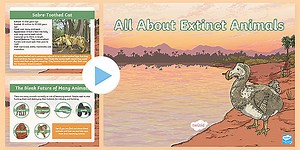 LKS2 All About Extinct Animals PowerPoint