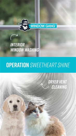 You don’t always see it… But you feel it 💨 Dusty interior windows. Lint-filled dryer vents. 🧼 Operation Sweetheart Shine is all about the little things that make a big difference. Window Gang — fighting grime in your neighborhood, inside and out 🪟✔️ Schedule your clean today at https://www.windowgang.com/ #FightingGrimeInYourNeighborhood #WindowGang #DryerVentCare #InteriorWindows | Window Gang of Palm Beach