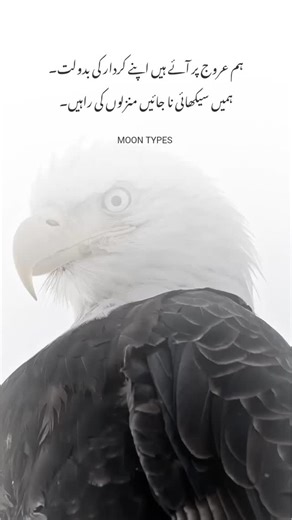 ##moon_types | Moon Types