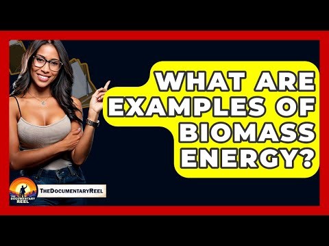 What Are Examples Of Biomass Energy? - The Documentary Reel