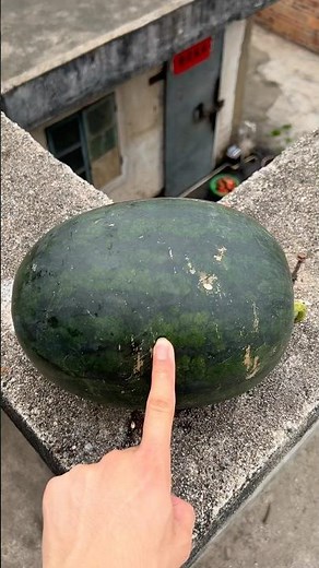 Experiment: Will a watermelon explode if it rolls down from a tall building? 🍉💥 #watermelon