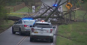 Tree takes out power line leaving thousands in Cane Ridge in the dark
