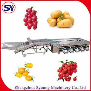 [Hot Item] Customized Food Grade Fruit&Vegetable Grading Sorting Machine for Jujube Date