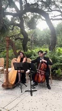 The Swan for Harp and Cello