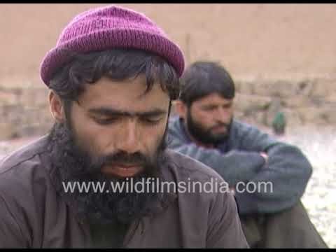 Salahuddin Khalid Explains the Status of Women in Islam | Rights & Responsibilities