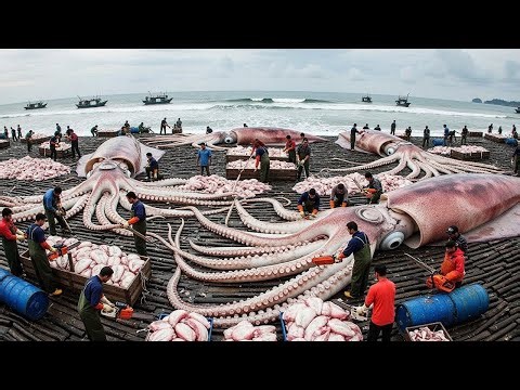 Giant Squid Fishing with Long Line – Deep Sea Monster Pulled to the Surface!