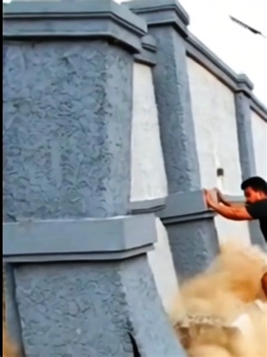 Choosing the Right Phone: Samsung vs OnePlus