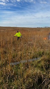 Burning the farm! #farm #farming #farmlife #familyfarm #agriculture #reelsvideo #reelsfb #reels #tractor #caseih #johndeere #fun #harvest #country #work #hardwork #iowa #kids | Titman Farms