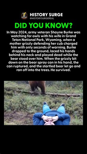 A Grizzly Stood on His Back and He Played Dead Until It Walked Away