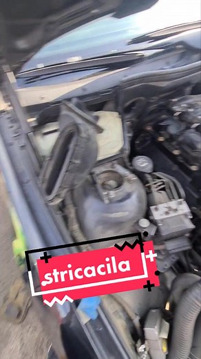 #Romania #Stricăcilă TikTok