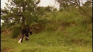 Amor Real Capítulo 91