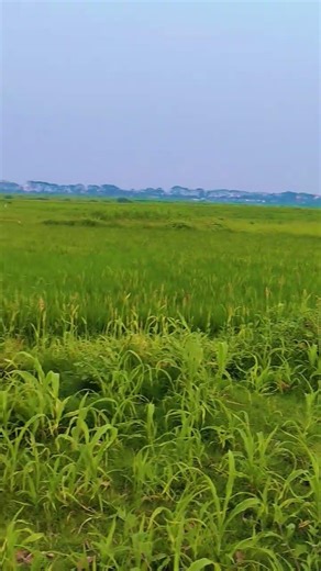 beautiful natural# viral #youtube short. #viral