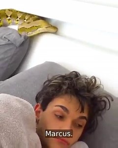 1.4M views · 31K reactions | GIANT SNAKE REVENGE PRANK ON GIRLFRIEND | Dobre Brothers | Facebook