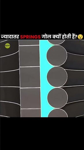 #factshorts #springroll #treandingshort #technology