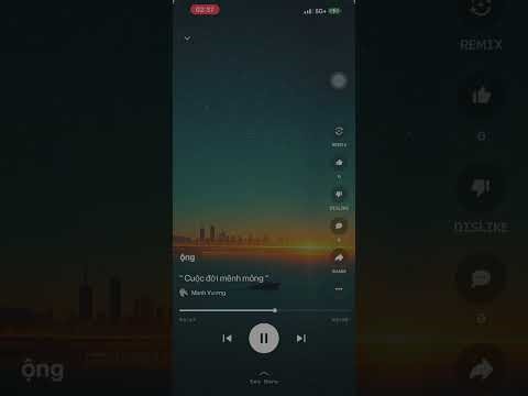 Cuộc đời mênh mông