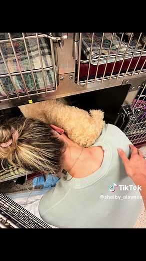 What started as a week of watching my baby bring her babies into the world… has turned into living a nightmare I prayed I’d never face. We’re on day 3 in a waiting room at Texas A&M — doing everything we can to fight for our girl. She’s receiving the most care we can financially afford, and we’re holding on tight to hope, leaning with everything we’ve got on our faith. This road hasn’t just been hard — it’s been holy. We’ve felt God show up again and again… whispering, “I’ve got her.” In moments