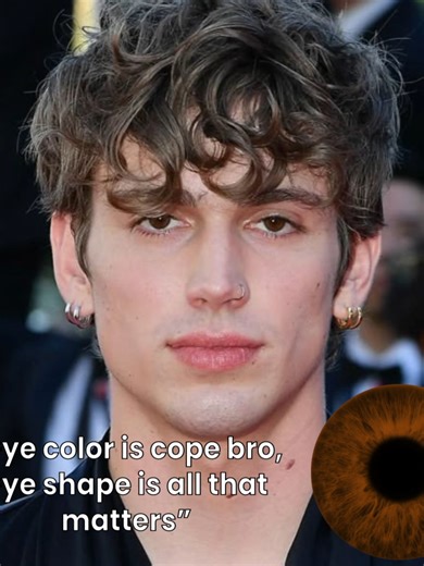 Understanding Eye Color Through Full Face Analysis