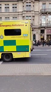 Police Car Models on Reels