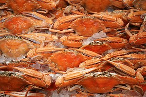 Crab Feeds 2019: Fremont & East Bay