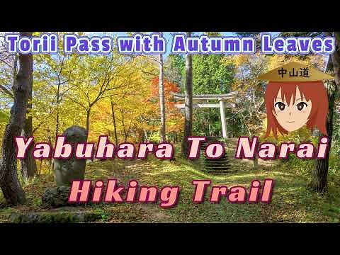 【道順解説付】中山道鳥居峠越えハイキングコース（Torii Pass with Autumn Leaves/Yabuhara to Narai Hiking Trail Route Guide)