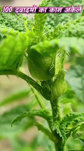 2M views · 10K reactions | Ten Unknown Facts About #BMW 1. Founding...