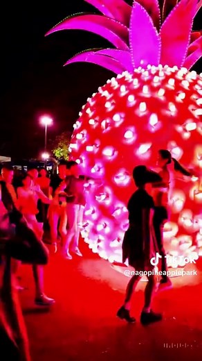 ナゴパイナップルパークのEDMバージョン！