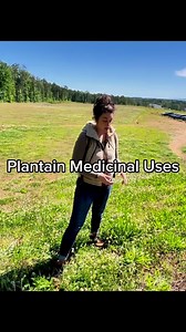 It’s time for a plant walk🌿Plantain anyone? How do I use plantain? Well, it isn’t just for skin issues…#plantain #foraging #deeprootsherbschool #herbalism #herbalremedies | The Deep Roots School of Foraging & Herbal Medicine