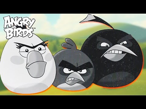 Angry Birds in Black & White | A Classic Showdown