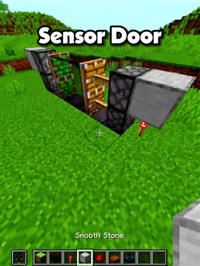 Minecraft Sensor Door 🎯