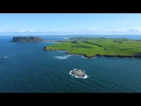 Cape Grim Beef from Paddock to Plate