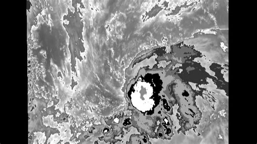 202505百合（BD图）