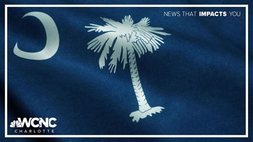 South Carolina bill would redefine child custody laws