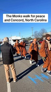 Walk for peace | David Livingston