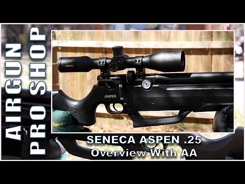 THE SENECA ASPEN .25 – OVERVIEW WITH AA