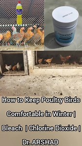 Chicken Water Sanitation in Winter | Bleach | Chlorine Dioxide | Dr. ARSHAD #WaterSanitation #Bleach #ChlorineDioxideTablet | Dr. Arshad Veterinary Clinic