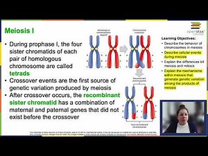 OpenStax Concepts of Biology Chapter 7.2